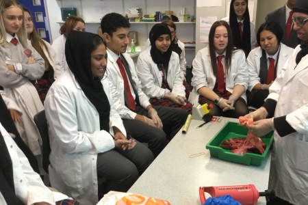 Hazel Wood High School Thumbnail Image